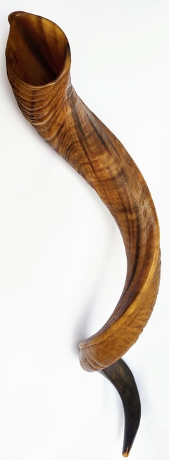 Image of shofar 122.5cm -