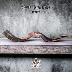 Shofar polido - 127cm