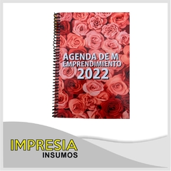 Agendas del emprendedor