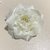 Flor Branca e Creme para Cabelo | Pistache Acessórios