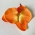 Flor de Orquídea Grande para Cabelo | Pistache Acessórios