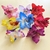 Presilha Flor Orquídea Pequena para Cabelo | Pistache Acessórios