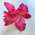 Presilha Flor Orquídea Pink Pequena para Cabelo | Pistache Acessórios