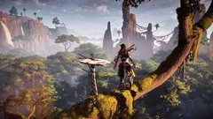 Horizon Zero Dawn: Comple PS4 en internet