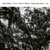 COLIN VALLON TRIO / DANSE