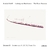 ANDRÁS SCHIFF / LUDWIG VAN BEETHOVEN: THE PIANO SONATAS, VOLUME VI
