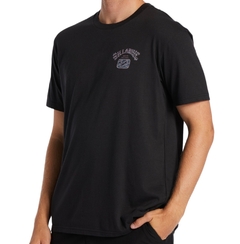 Camiseta Billabong Theme Arch (Preto) - comprar online