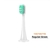 Repuesto cepillo de dientes T300/T500/700 Regular NUM4010GL x 3 Unidades - comprar online