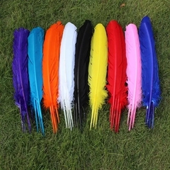 Plumas de 30cm x10 unidades