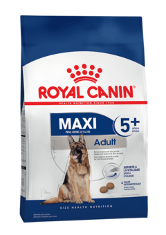 Royal Canin Maxi Adulto Ageing +5 - 15kg