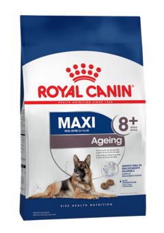 Royal Canin Maxi Adulto Ageing +8 - 15kg