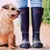 JOULES WELLY COLOR