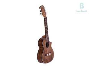 IB140-EWPEQ VIAJERA Parquer Guitarra Electroacústica Mini