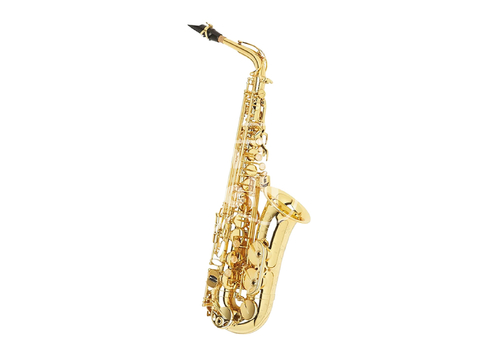 PAS300A Palmer Saxo Alto con Estuche