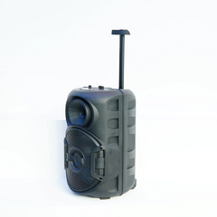 Parlante Bluetooth 12" ZQS12106S - tienda online