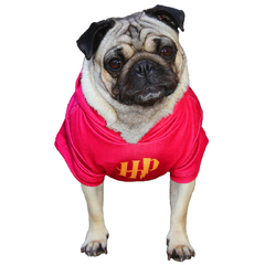 Blusa para Cachorro de Moletinho Harry Potter