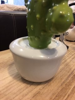 Imagen de Cactus de Ceramica 20 cm en Maceta