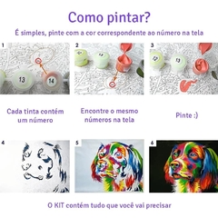 (2509) PINTURA EM TELA NUMERADA - PRINCESAS na internet