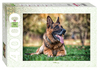 (2254) The German Shepherd - 4000 peças