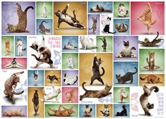 (1621) Yoga Cats - 1000 peças - comprar online