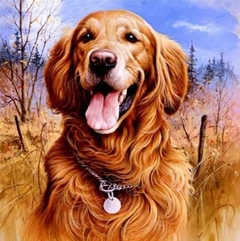 (2780) Pintura com Diamantes- Diy 5D Strass - Golden Retriever - 35x35 cm