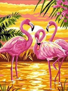 (2371) Pintura em Tela Numerada - Flamingos
