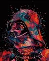 (2467) PINTURA EM TELA NUMERADA - DARTH VADER