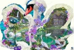 (619) Swan Dreams (SPECIAL SHAPE) - 1000 peças