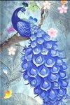 (1763) Pintura com Diamante - Pavão Azul 2 - 30x45 cm - Total