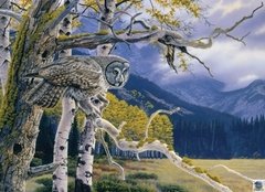 (241) Great Grey Owl - 1000 peças