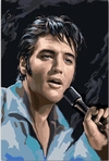 (2558) PINTURA EM TELA NUMERADA - ELVIS PRESLEY