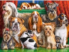 (1832) Pintura com Diamante - Dog Club - 40x30 cm