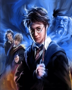 (2311) Pintura em Tela Numerada - Harry Potter 3
