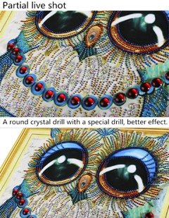 (1754) Pintura com Diamante - Coruja 12 - 30x40 cm - Pedras Especiais - comprar online