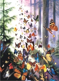 (2092) Butterfly Woods; David Penfound - 1000 peças - comprar online