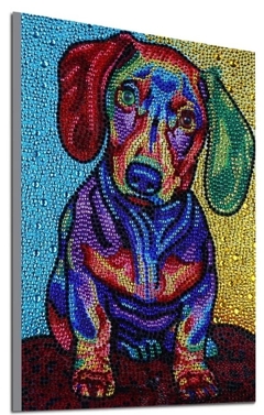 (2021) Pintura com Diamantes - Cão Colorido 2 - 25x35 cm - Efeito gota d'água - loja online
