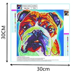 (2079) Pintura com Diamantes - Bulldog - 30x30 cm na internet