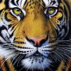 (1090) Golden Tiger Face - 1000 peças