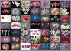 (943) Saudação Floral; Assaf Frank - 2000 peças - comprar online