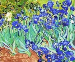 (2399) Pintura em Tela Numerada - Jardim de Iris; Van Gogh