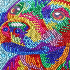(2269) Pintura com Diamantes - Color Dog 2 - 35x25 cm - Efeito gota d'água - comprar online