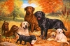 (2283) Pintura com Diamantes - Cachorros 3 - 35x25 cm