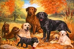 (2283) Pintura com Diamantes - Cachorros 3 - 35x25 cm