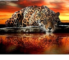 (1150) Pintura com Diamante - Tigre - 20x15 cm - Total