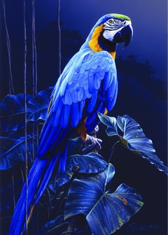 (2093) Blue Macaw; Daniel Smith - 1000 peças