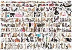 (428) The World of Cats - 2000 peças - comprar online