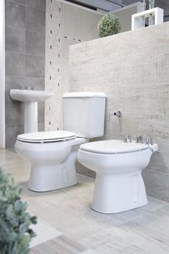 Combo Roca Monaco Inodoro Largo Deposito Apoyo Bidet Baño - Pignataro Diseño & Construccion