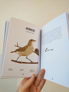 Aves de Buenos Aires en internet