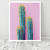 Modelo - Pink Cactus