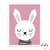 Modelo - Conejo